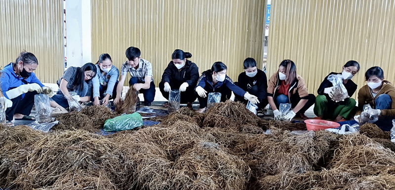 Minh Hóa: Chú trọng đào tạo nghề cho lao động nông thôn
