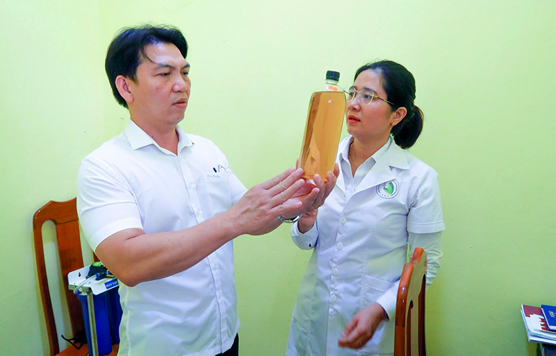 Sản xuất thực phẩm từ nấm linh chi