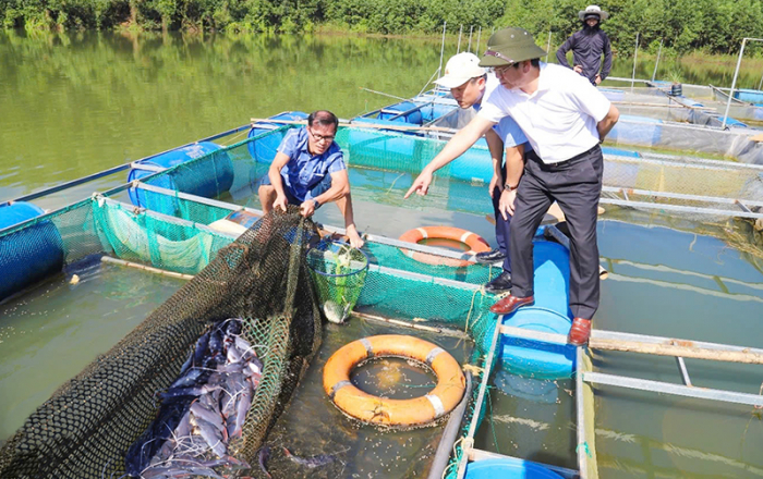 Xây dựng mô hình nuôi cá lăng nha