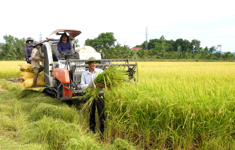 Nâng tầm thương hiệu