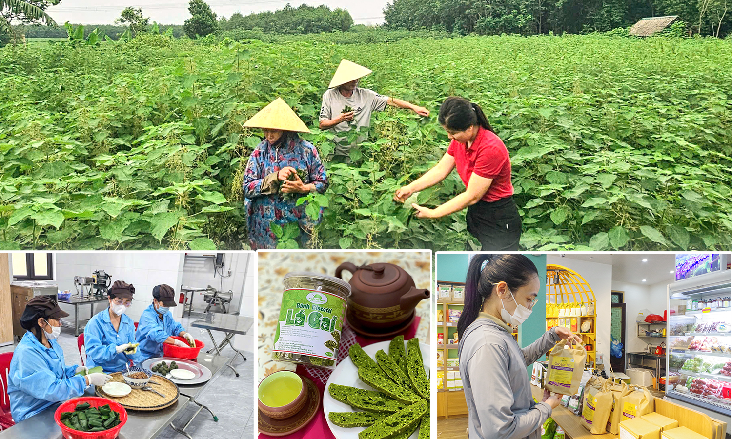 Nông nghiệp 3F-Xu hướng của tương lai