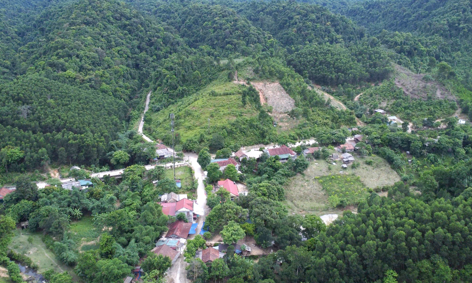 "Trợ lực" để phát triển