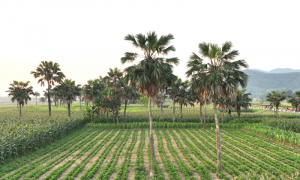 Quảng Bình muôn vẻ