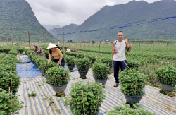 Xây dựng mô hình sinh kế cho người khuyết tật