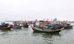 Ngư dân kỳ vọng những chuyến biển ngày áp Tết