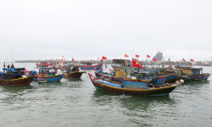Ngư dân kỳ vọng những chuyến biển ngày áp Tết