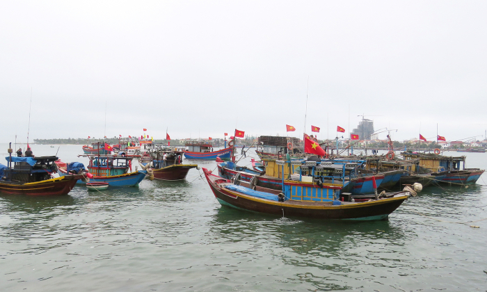 Ngư dân kỳ vọng những chuyến biển ngày áp Tết