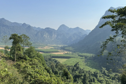 Giải quyết dứt điểm diện tích đất chống lấn, tranh chấp