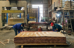 Hoàn thuế giá trị gia tăng trên 200 tỷ đồng