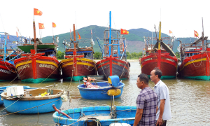 Mùa vui của biển