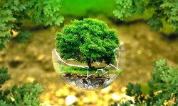 Kế hoạch quản lý chất lượng môi trường không khí trên địa bàn tỉnh giai đoạn 2025-2030