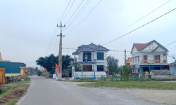 Xuân về vùng biển bãi ngang