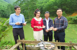 Hiệu quả mô hình nuôi trai lấy ngọc nước ngọt