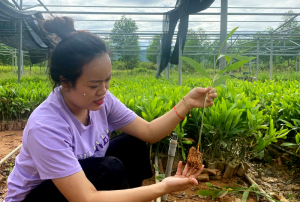 Minh Hóa chú trọng ứng dụng khoa học, công nghệ vào sản xuất