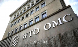 Trung Quốc khởi kiện Mỹ tại WTO