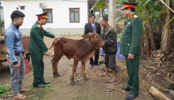 Bố Trạch: Hỗ trợ bò sinh kế cho gia đình thanh niên thực hiện nghĩa vụ quân sự
