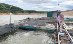 Ngành Nông nghiệp nỗ lực bứt phá
