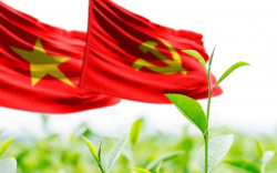 Dưới cờ Đảng thật vẻ vang!