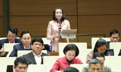 Đoàn đại biểu Quốc hội tỉnh: Thảo luận về các dự án luật và dự thảo nghị quyết
