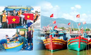 Vươn khơi đón "lộc biển"