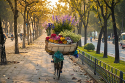 Giấc xuân dịu dàng