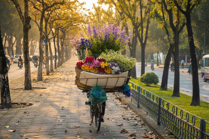 Giấc xuân dịu dàng
