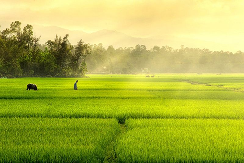 Tháng giêng theo mẹ ra đồng