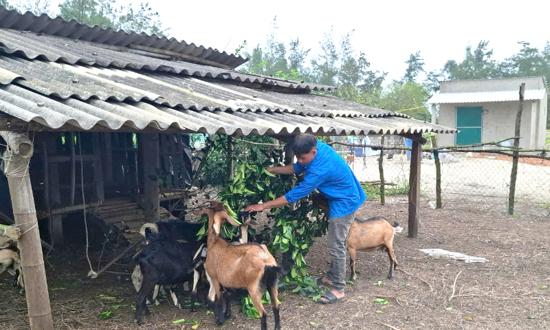 Khởi nghiệp từ mô hình trang trại tổng hợp