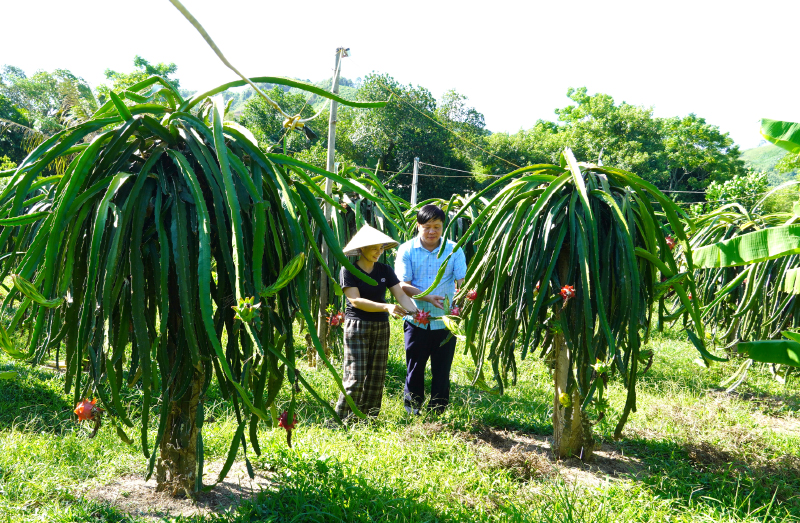 Hiệu quả từ các đề tài, dự án khoa học