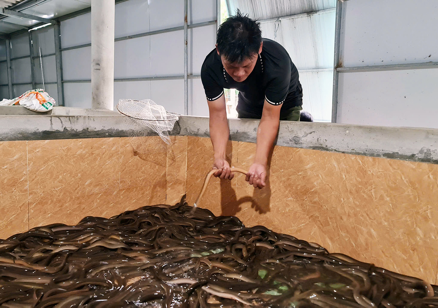 Quảng Ninh: Sản lượng khai thác và nuôi trồng thủy sản đạt gần 927 tấn