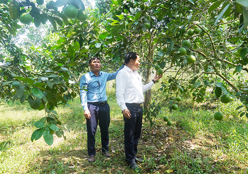Tuyên Hóa: Tập trung hỗ trợ vốn vay cho nông dân