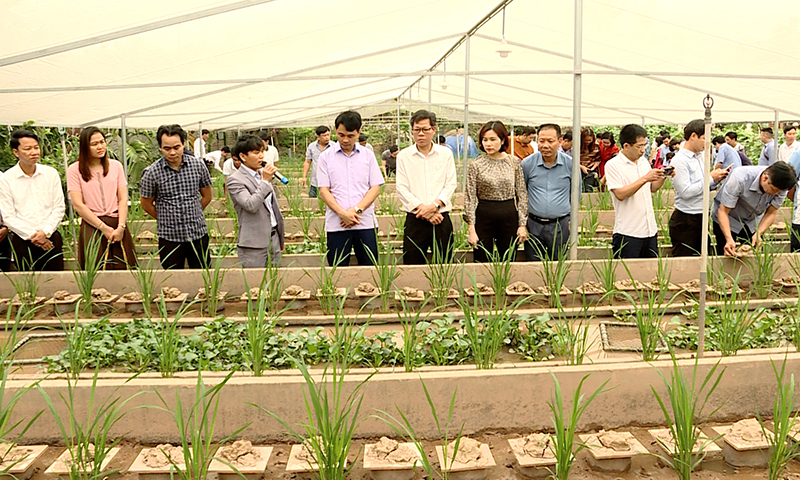 Thường trực Tỉnh ủy yêu cầu không tổ chức các đoàn đi công tác ngoại tỉnh