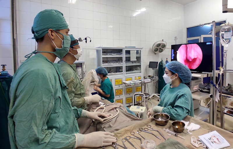 TP. Đồng Hới: Chủ động ngăn chặn các loại dịch bệnh