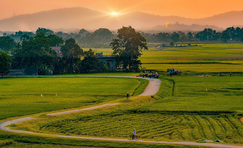 Tháng tư với làng