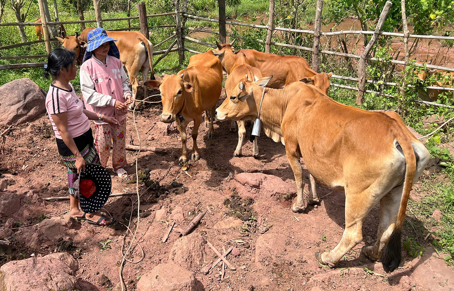 Quảng Ninh: Hơn 1.000 người dân được vay vốn ưu đãi