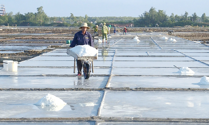 Diêm dân vào vụ muối