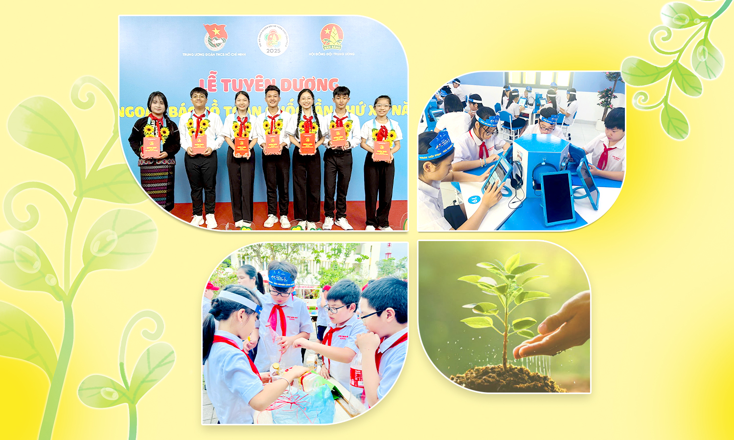 Ươm những 