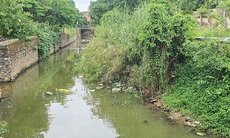Chống sạt lở tại kè hói Đợi, xã Phong Thủy (Lệ Thủy): Chậm thực hiện vì đâu?