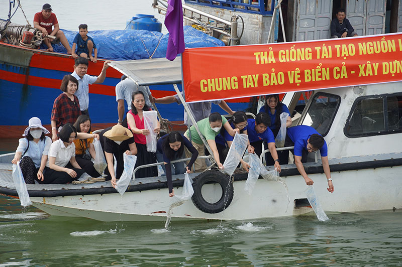 Thả tôm, cá giống tái tạo nguồn lợi thủy sản