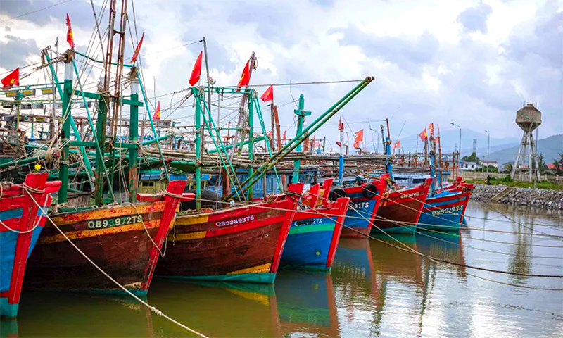Triển khai ứng phó với bão số 1 (bão WUTIP)